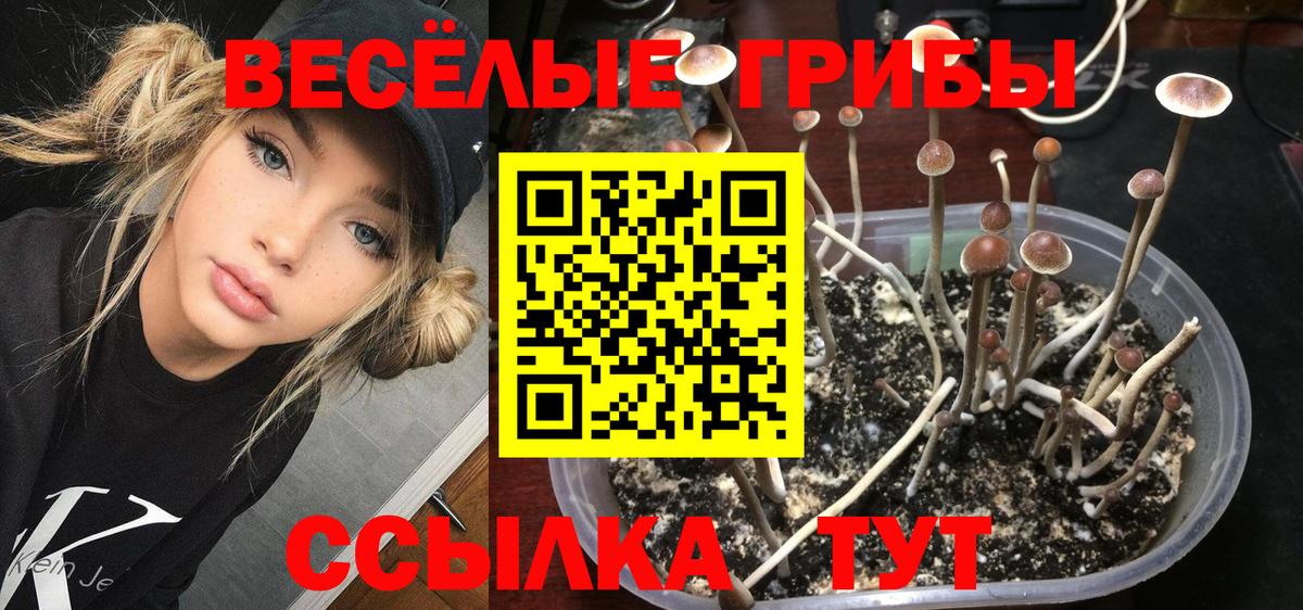 Сертолово  Галлюциногенные грибы ЛСД  Вход с VPN  Галлюциногенные грибы GOLDEN TEACHER 